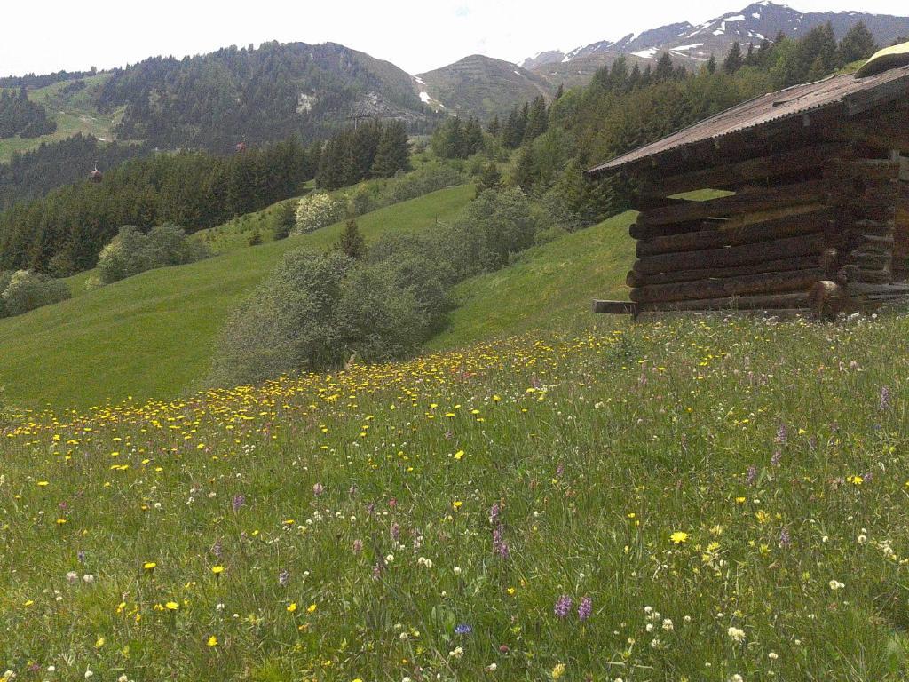 Apart Panoramablick Kaunerberg Екстер'єр фото